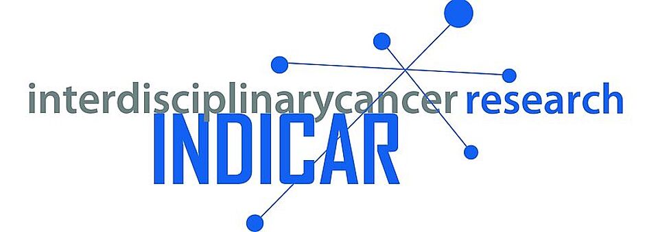 Logo INDICAR- interdisciplinary research